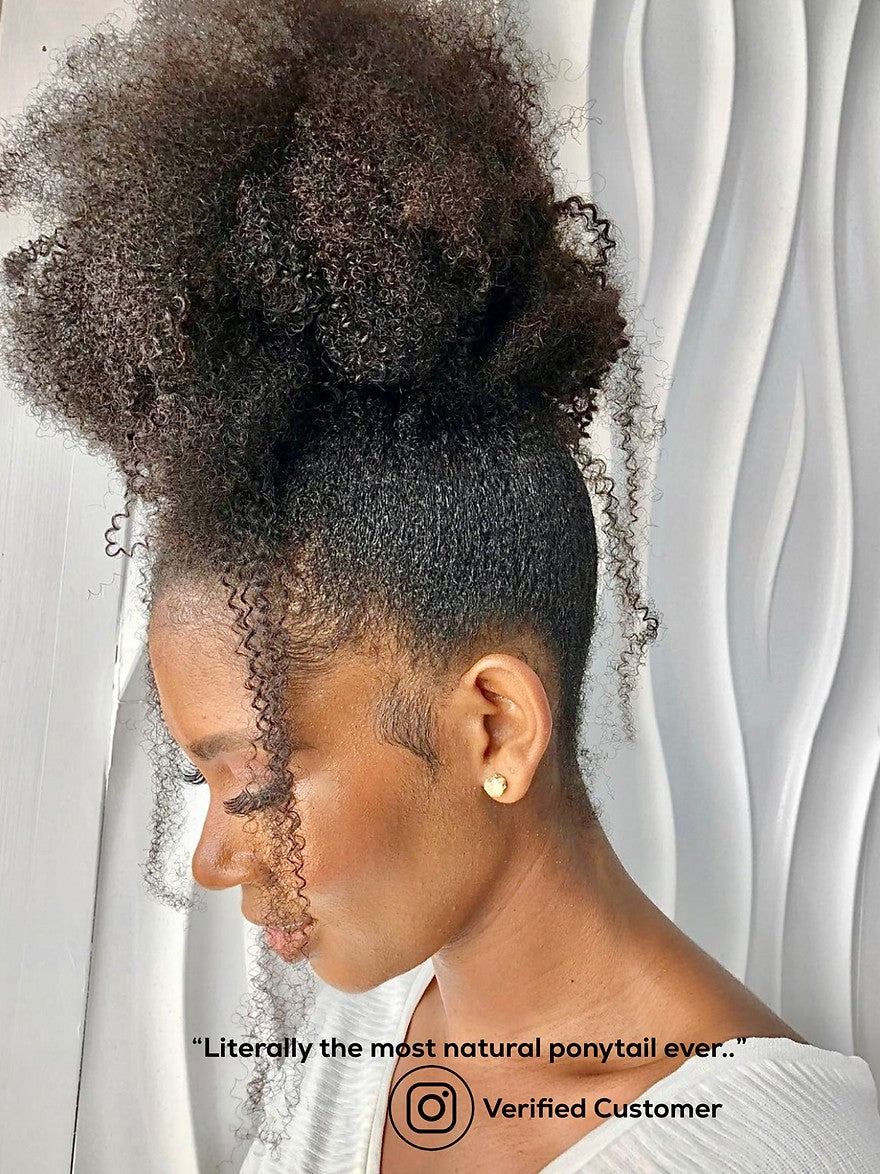 Jasmine Coil Ponytail